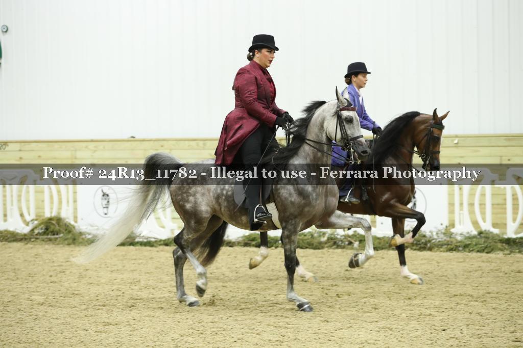 Proof 24R13_11782