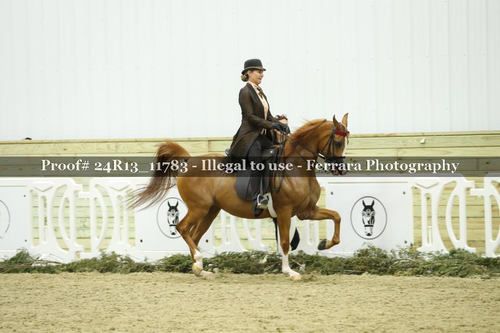Proof 24R13_11783