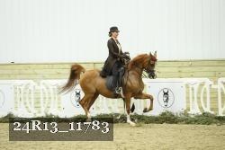 24R13_11783 proof