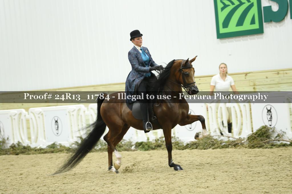 Proof 24R13_11784