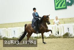 24R13_11784 proof