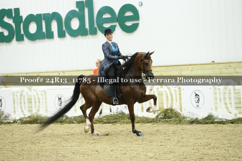 Proof 24R13_11785