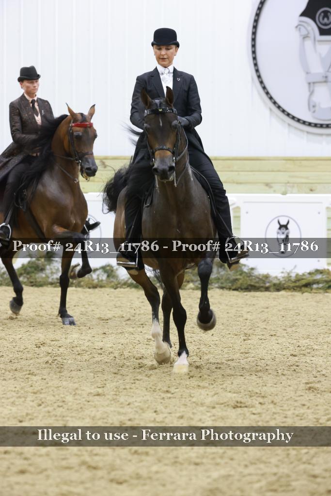 Proof 24R13_11786