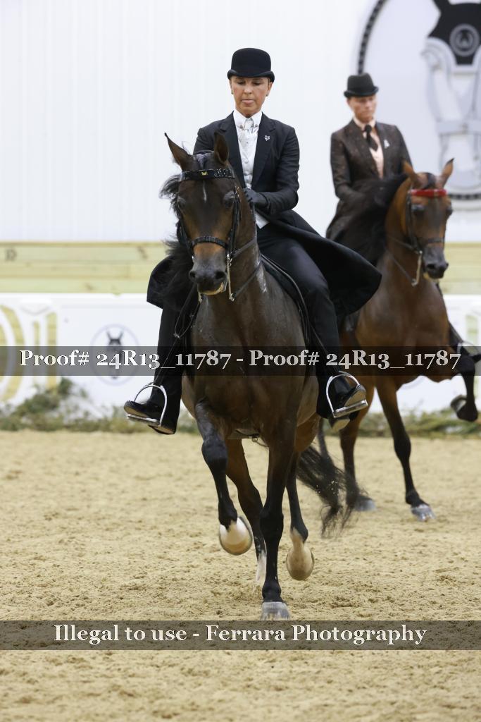 Proof 24R13_11787