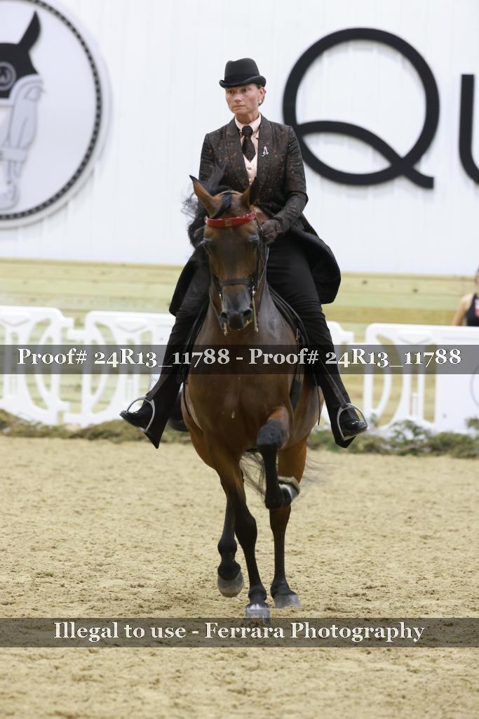 Proof 24R13_11788
