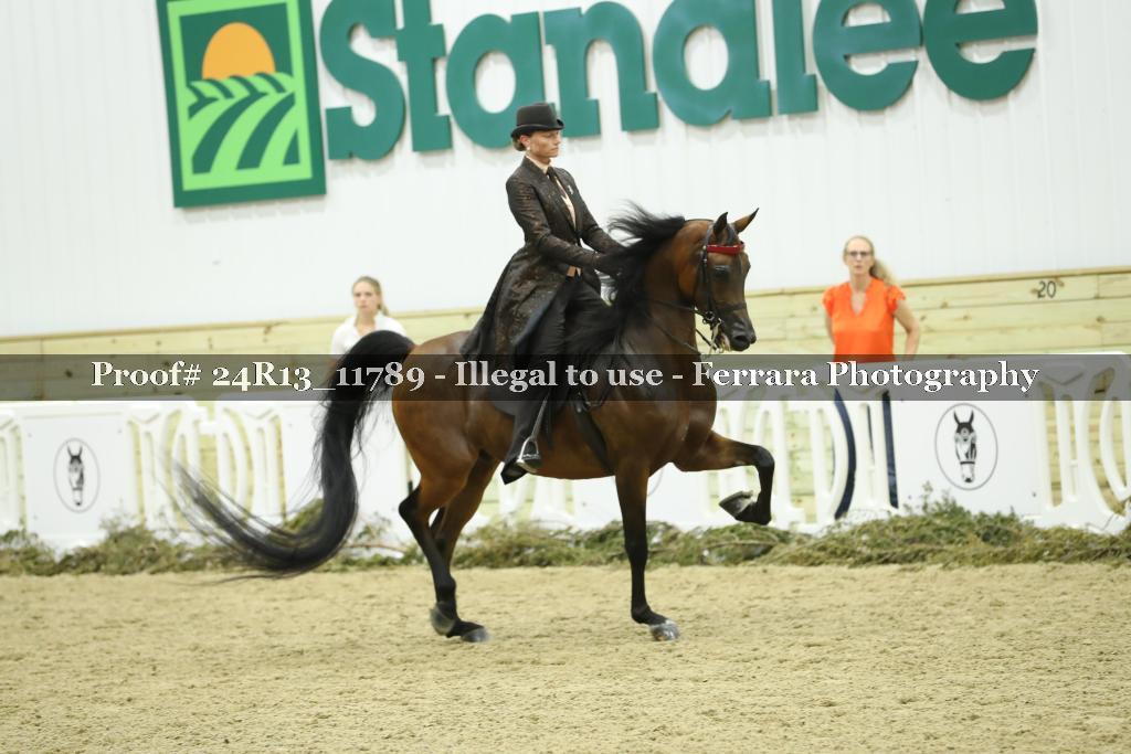 Proof 24R13_11789