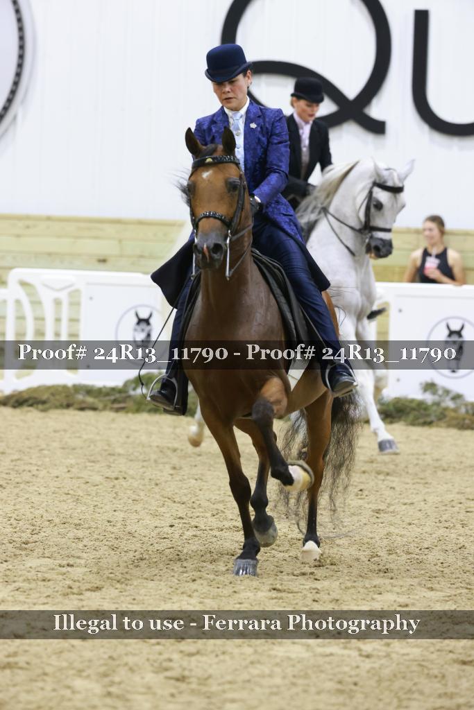 Proof 24R13_11790