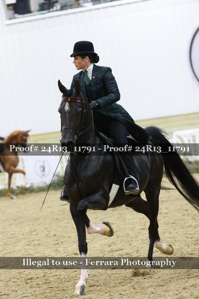 Proof 24R13_11791