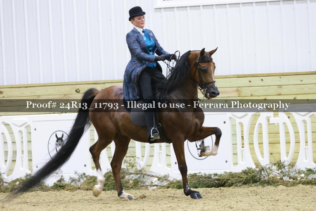 Proof 24R13_11793