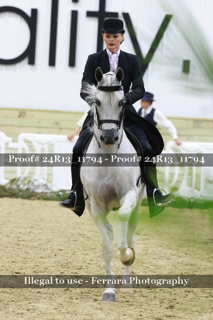 Proof 24R13_11794