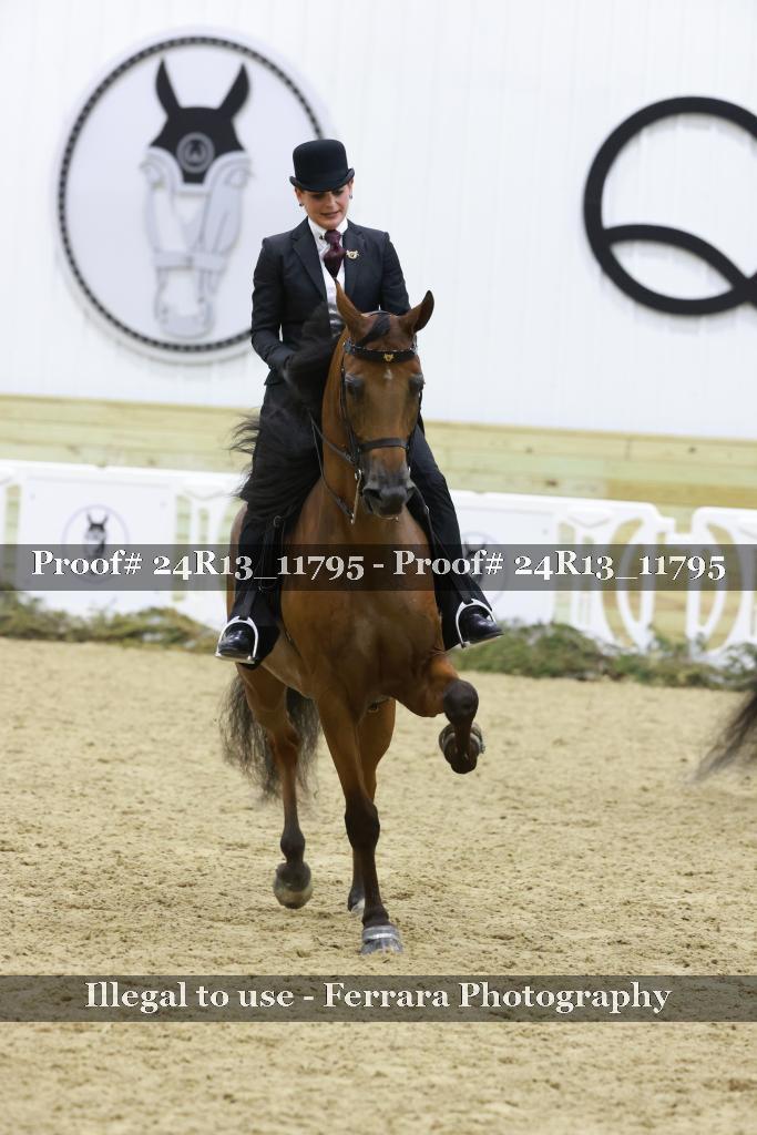 Proof 24R13_11795