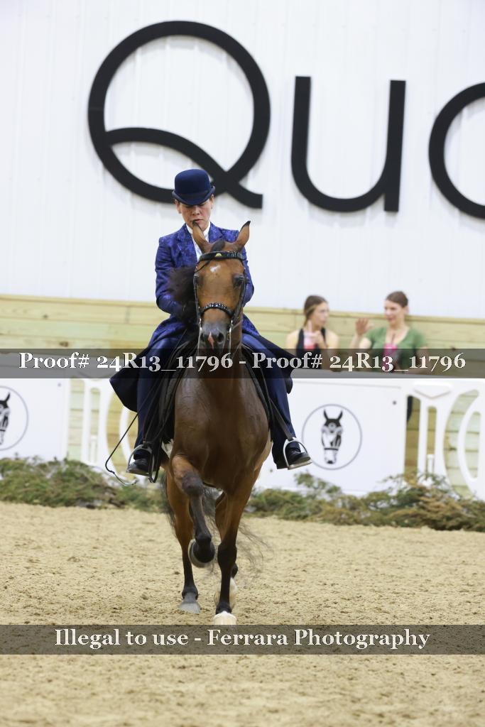 Proof 24R13_11796