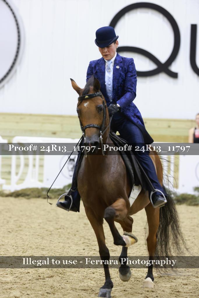 Proof 24R13_11797