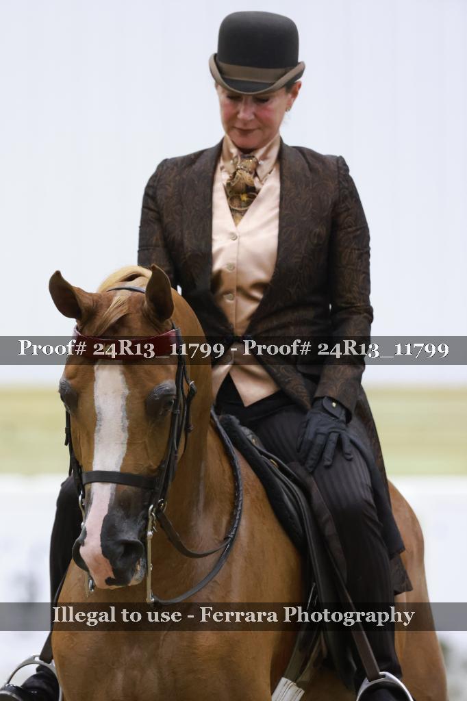 Proof 24R13_11799