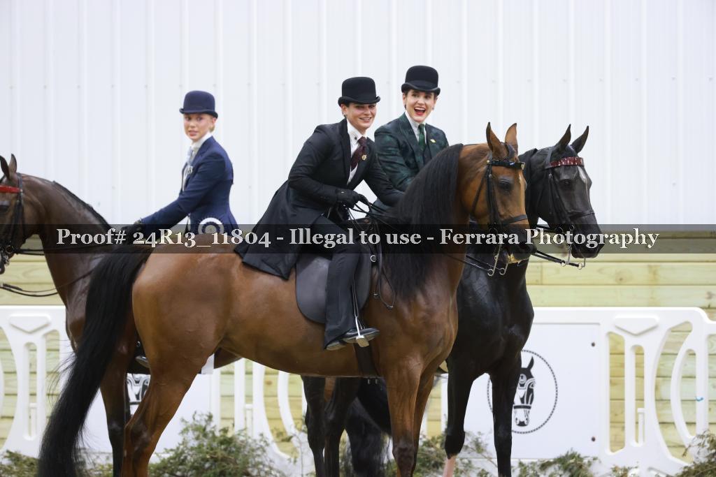 Proof 24R13_11804