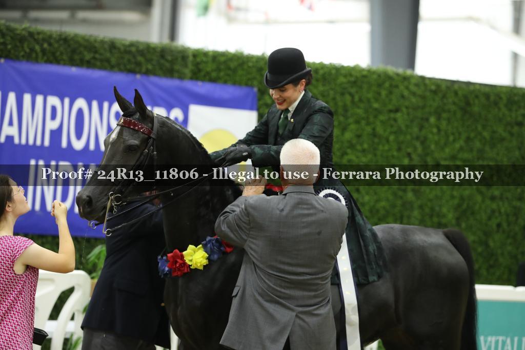 Proof 24R13_11806