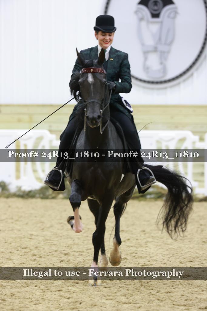 Proof 24R13_11810