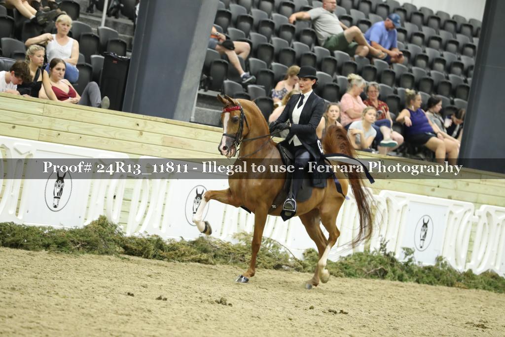 Proof 24R13_11811