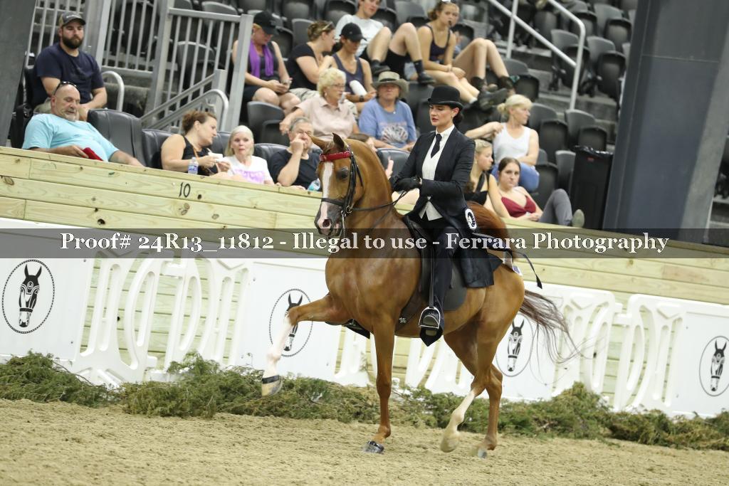 Proof 24R13_11812
