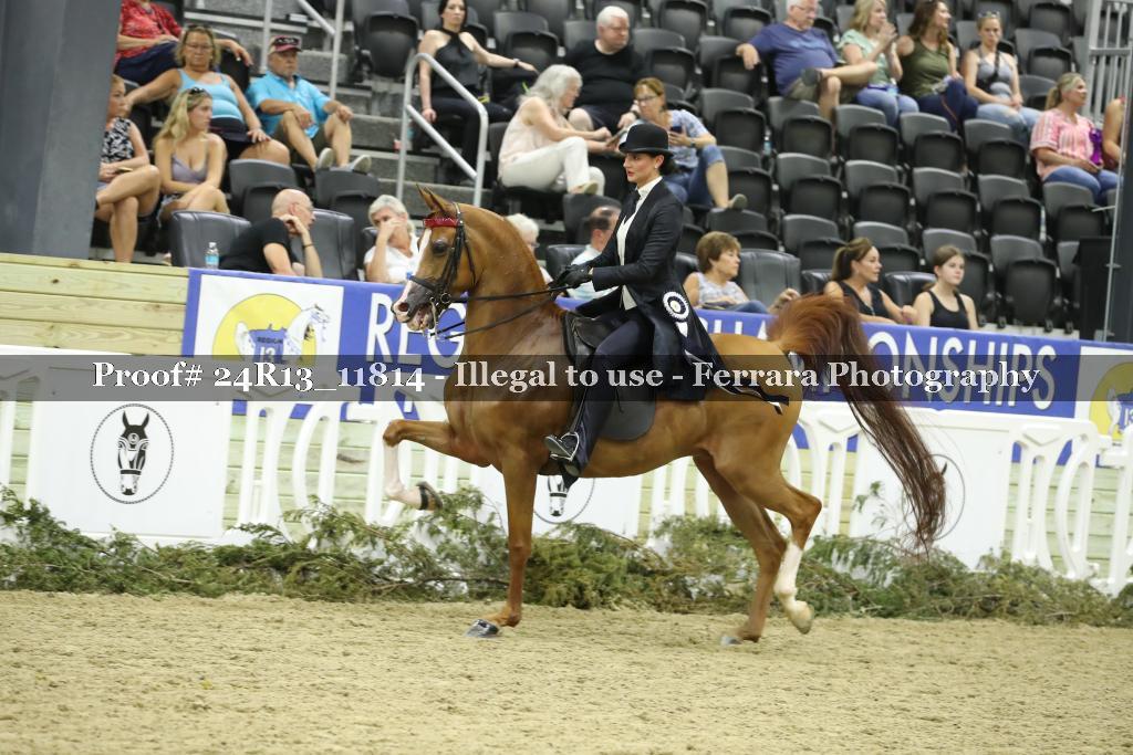 Proof 24R13_11814