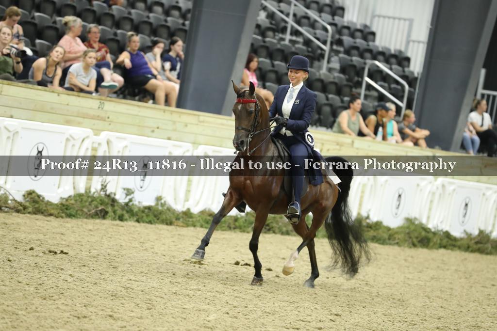 Proof 24R13_11816