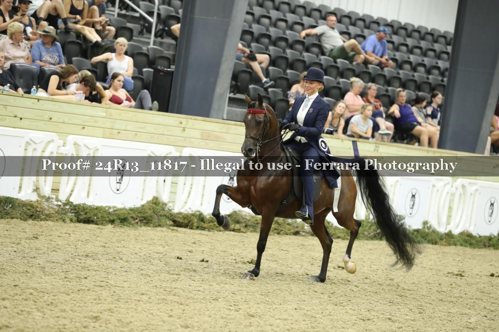 Proof 24R13_11817