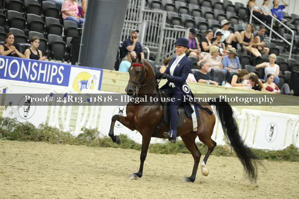 Proof 24R13_11818