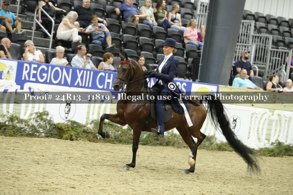Proof 24R13_11819
