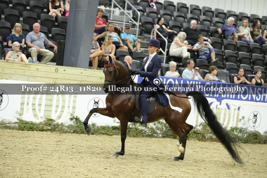 Proof 24R13_11820