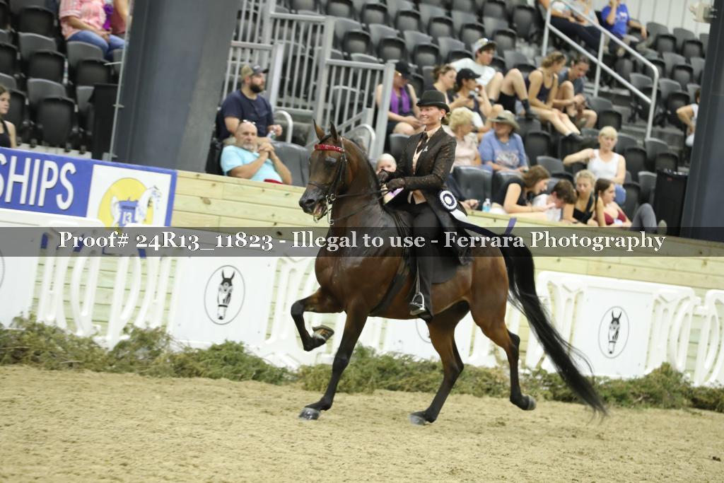 Proof 24R13_11823