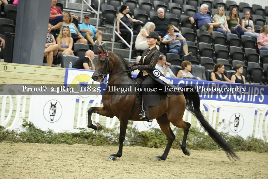 Proof 24R13_11825