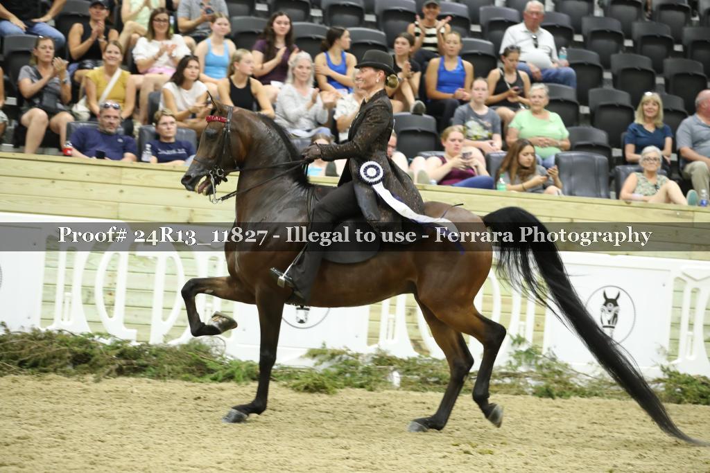 Proof 24R13_11827