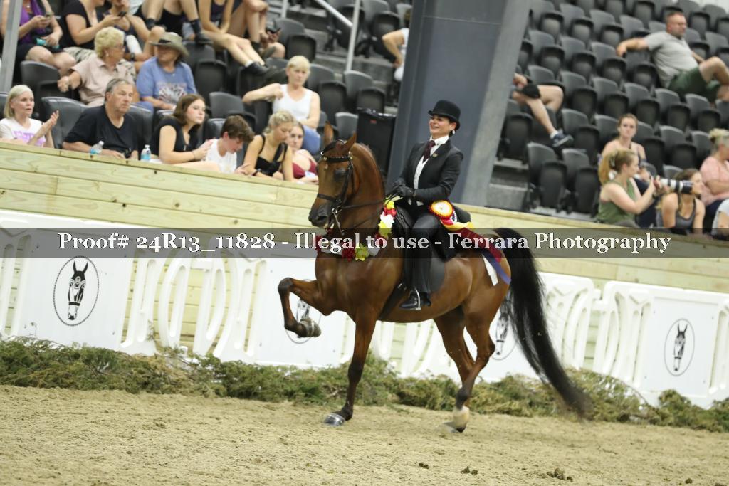 Proof 24R13_11828