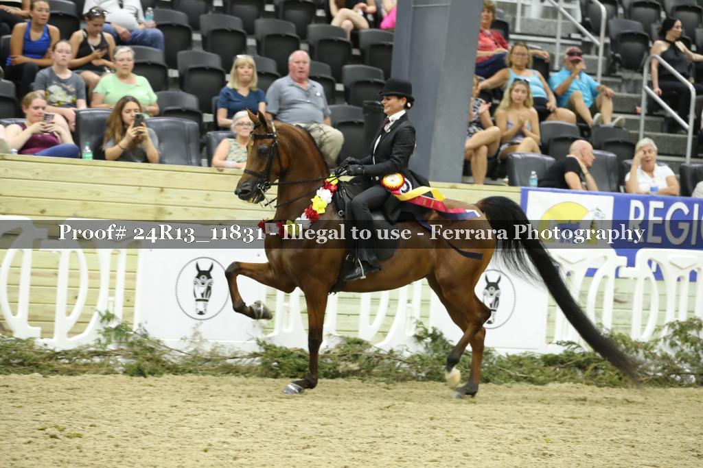 Proof 24R13_11831