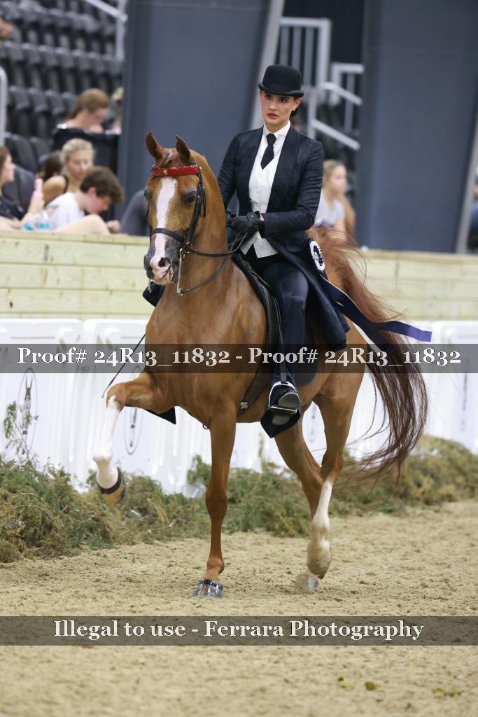 Proof 24R13_11832