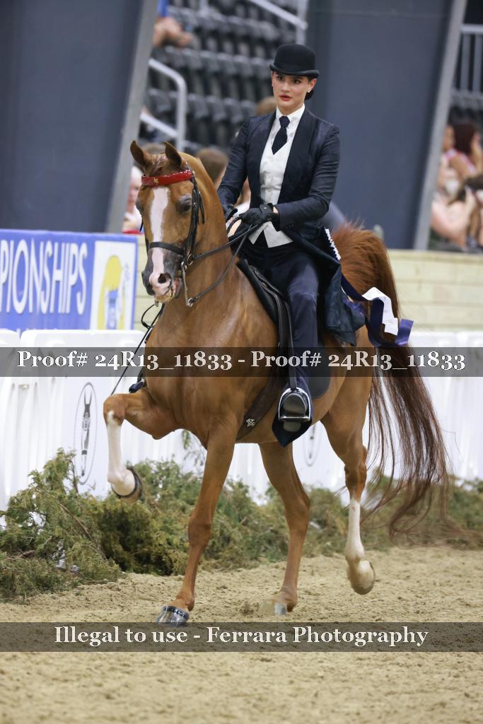 Proof 24R13_11833