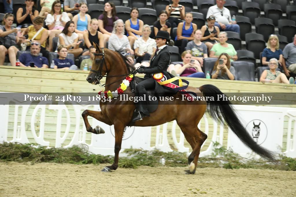 Proof 24R13_11834