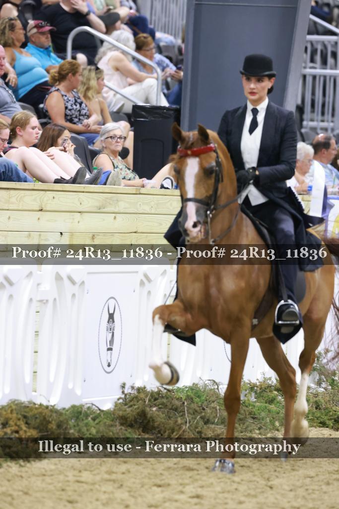 Proof 24R13_11836