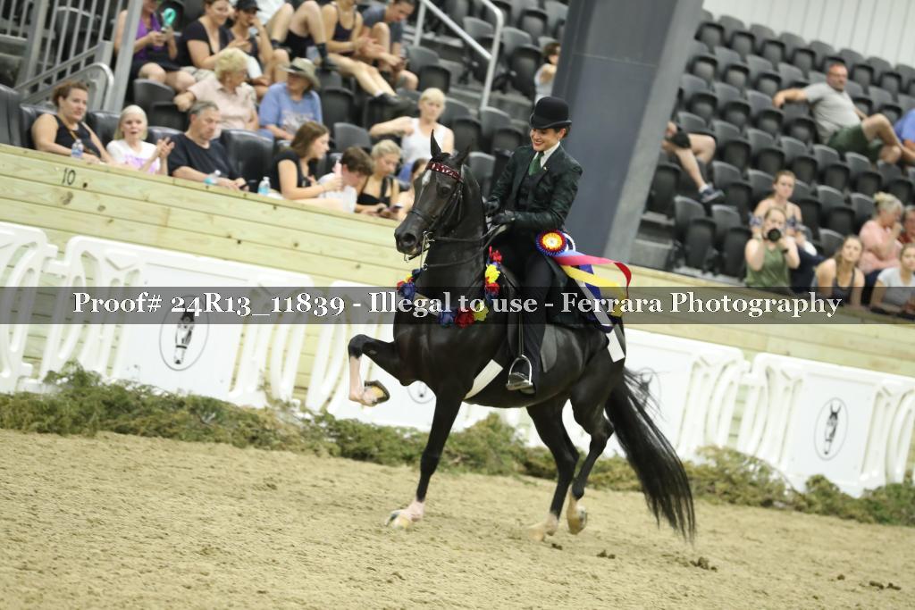 Proof 24R13_11839