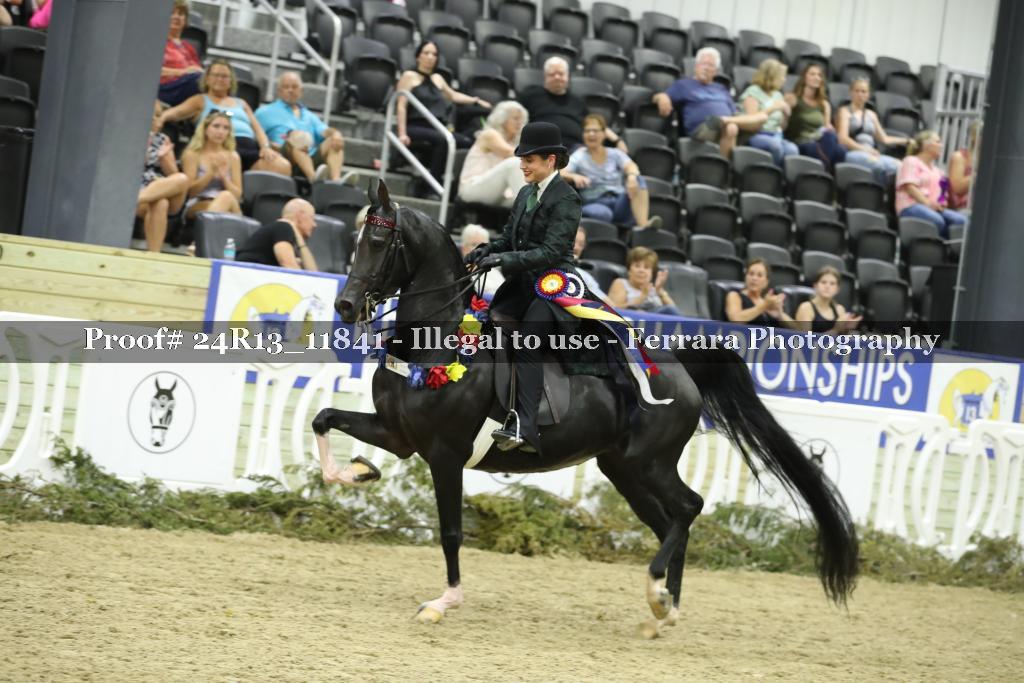 Proof 24R13_11841