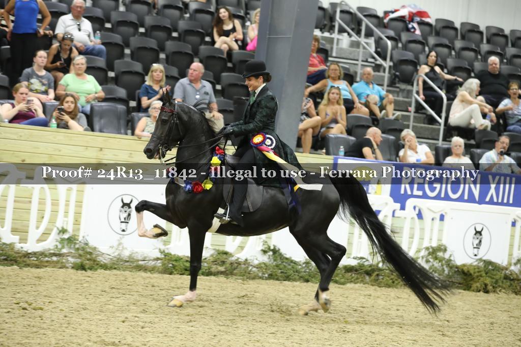 Proof 24R13_11842