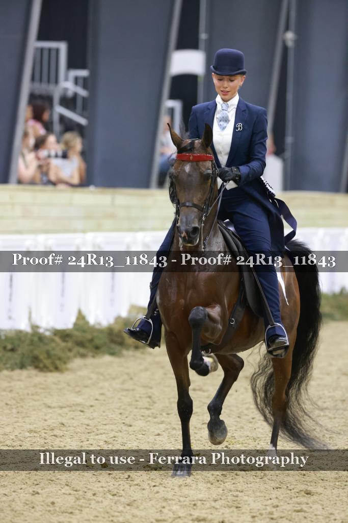 Proof 24R13_11843