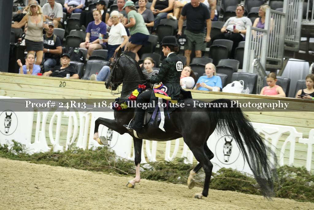 Proof 24R13_11846
