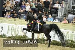 24R13_11846 proof