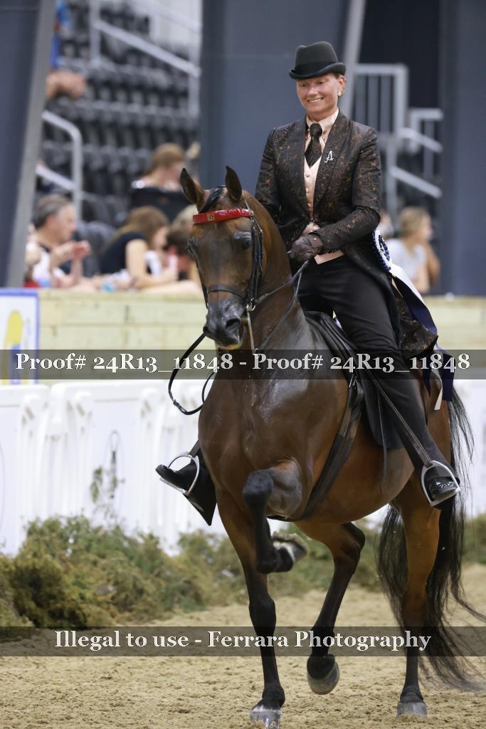 Proof 24R13_11848