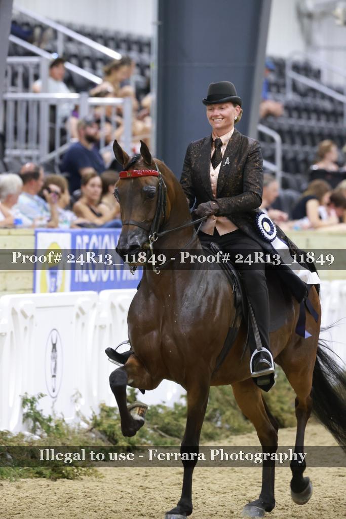 Proof 24R13_11849