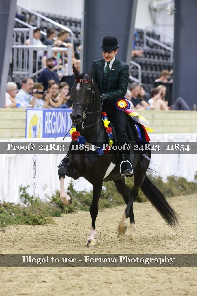 Proof 24R13_11854