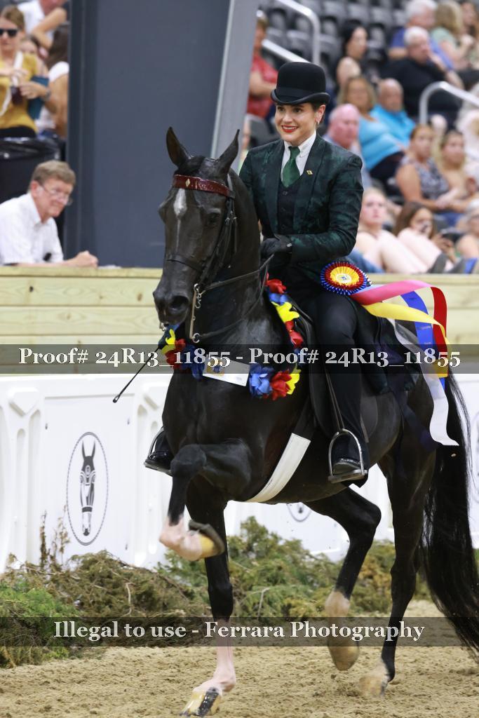 Proof 24R13_11855