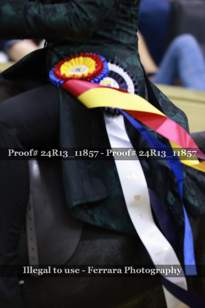 Proof 24R13_11857