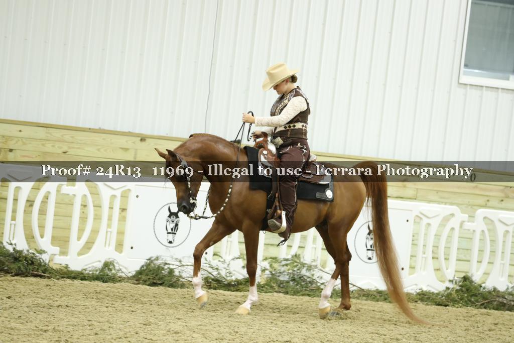 Proof 24R13_11969